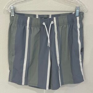 Hollister Swim Trunks Men Small Blue Green Striped Mesh Lined 5 Inch Inseam